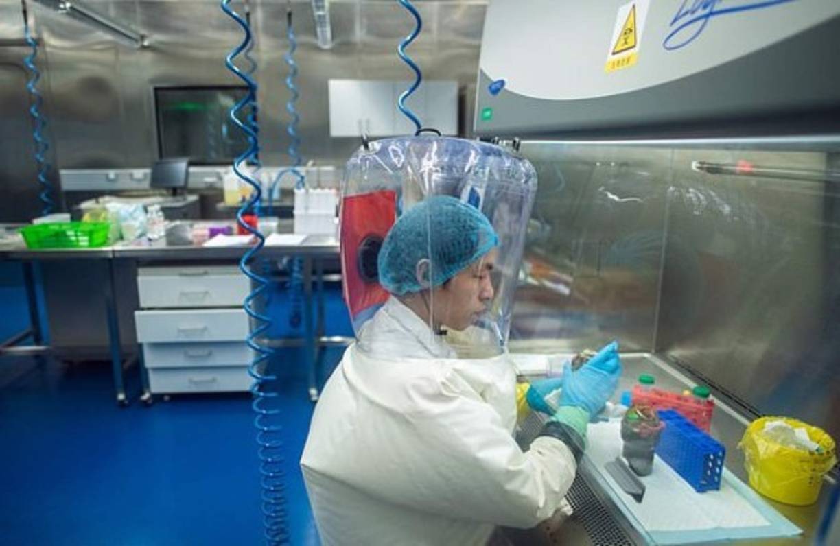 La revelación respalda la teoría de varios estudios internacionales que apuntan a que el virus no se originó en el mercado de Wuhan, como afirma el Gobierno chino, ya que secuenciación del genoma COVID-19 se remonta a los murciélagos encontrados en las cuevas de Yunnan.