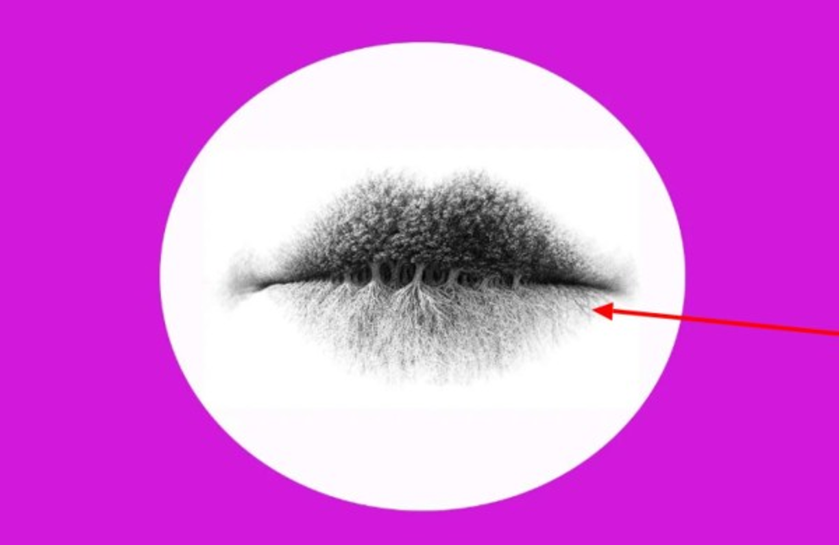 Labios<br/><br/>Si viste primero los labios tu personalidad podría incluirse en el tipo B. En tu caso, sabes bien cómo concentrarte en el presente y dejarte fluir con las situaciones, pero a veces tienes que aprender a poner un poco de orden y estructura en tu vida. La fluidez siempre debe ir acompañada de responsabilidad y equilibrio.<br/><br/>