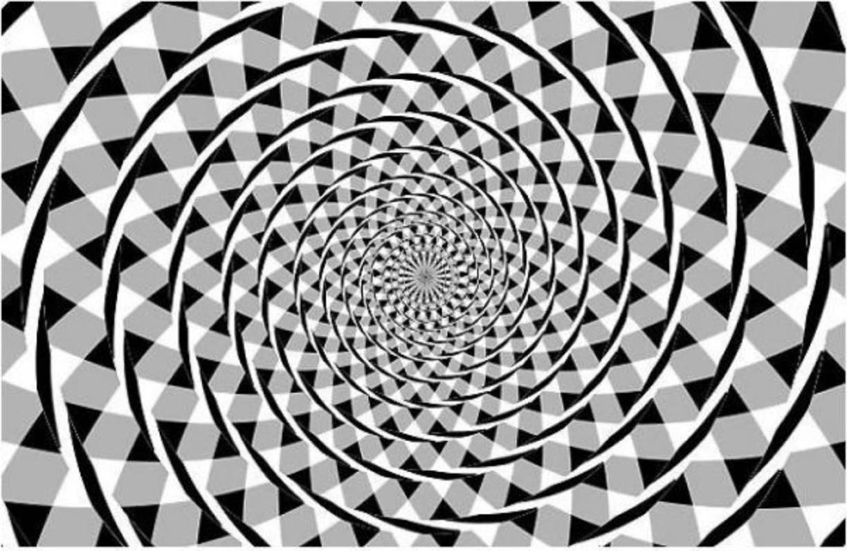 1. La falsa espiral<br/><br/>¿Ves la espiral? Fíjate bien. Tu cerebro te está enredando de nuevo. No hay ninguna espiral, lo que ves en la imagen son círculos concéntricos.<br/><br/>La confusión de tu cerebro en este caso viene de su intento por extraer conclusiones sobre qué regiones de la imagen forman parte del mismo objeto, algo especialmente complejo aquí por la cantidad de información que se superpone, y aun más en las regiones periféricas donde las formas no están completas.
