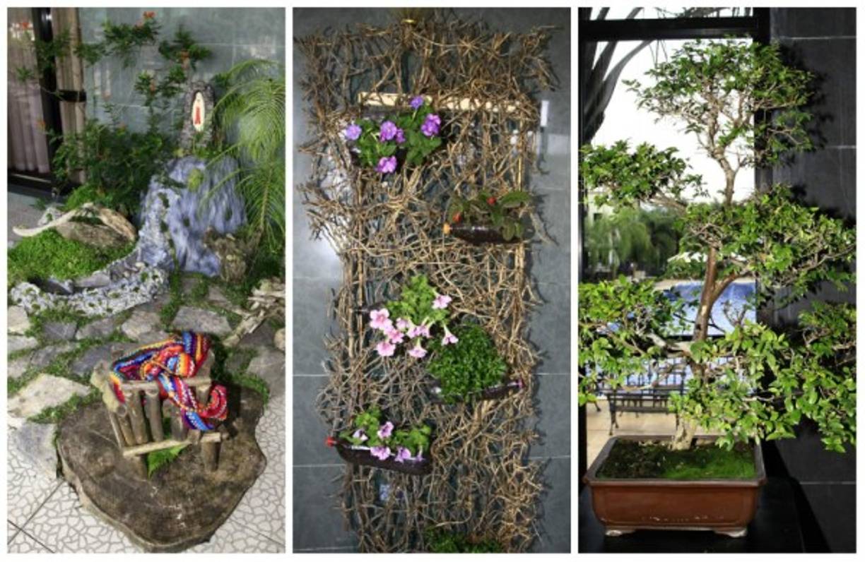 Las jardineras buscan las protección de medio ambiente a través del cuidado y la preservación de las plantas y la vida tropical del país.