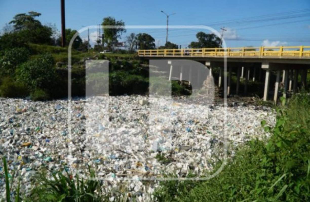 Además, de la contaminación ambiental, los desperdicios están afectando la libre circulación de las aguas y causan malos olores.