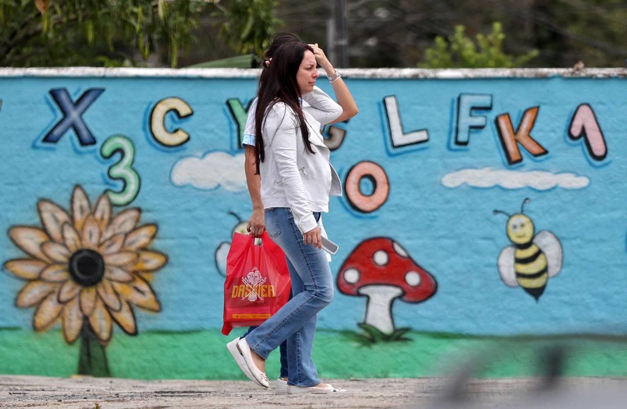 Los heridos, dos niñas de 5 años y dos niños de 3 y 5, “se encuentran estables (...), estarán en observación al menos 24 horas” tras haber sido sometidos a cirugía bajo anestesia, informó el Hospital Santo Antonio de <b>Blumenau</b>.