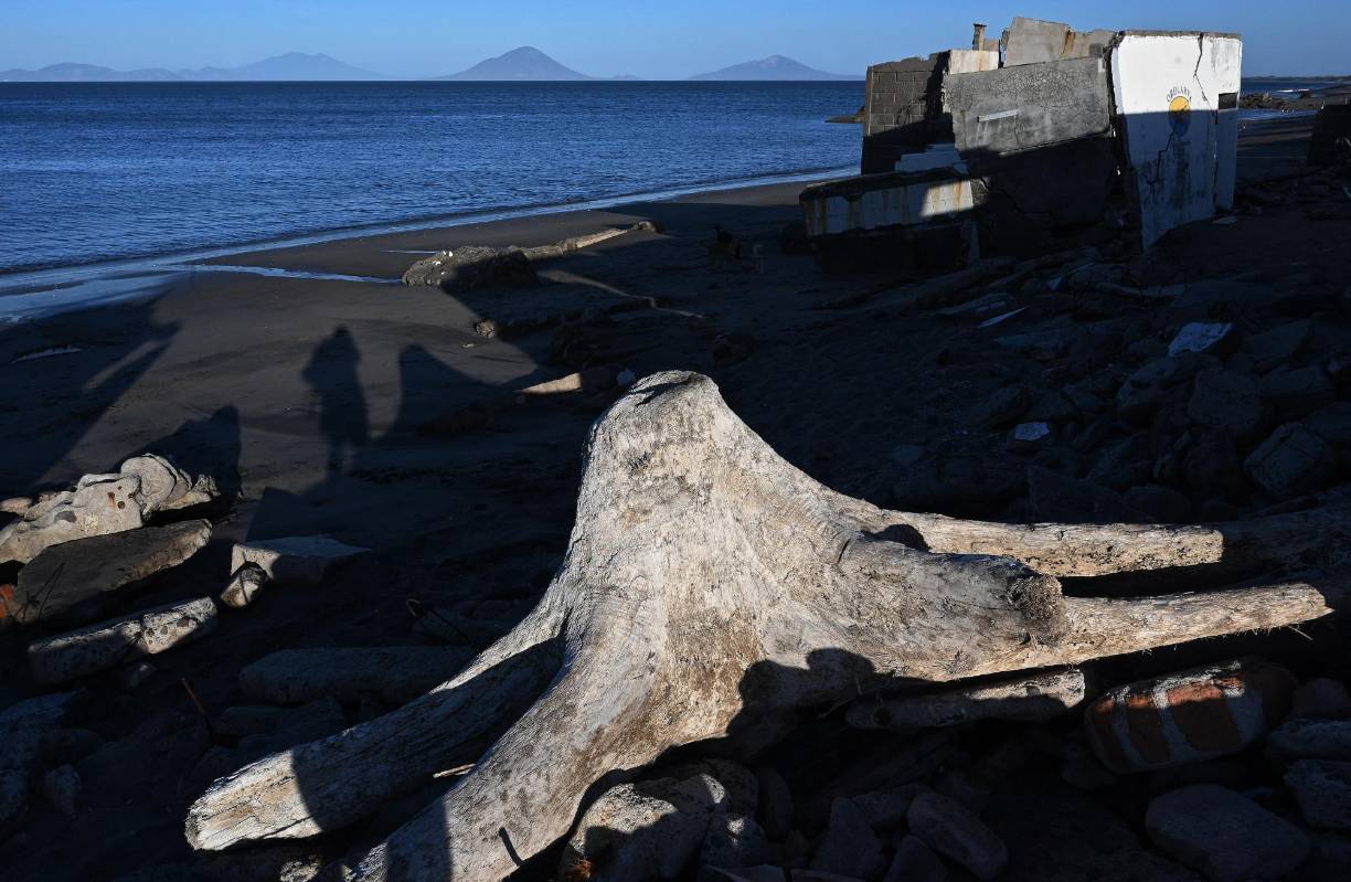 Las fuertes marejadas han derribado parte de la barrera natural de cocos, destruido muros, viviendas, un laboratorio marino, mansiones de ricos y famosos, y negocios de pequeños emprendedores.