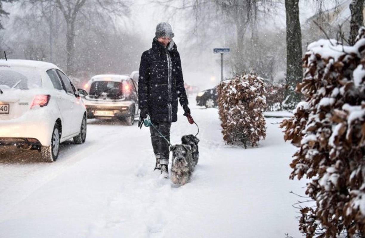 Esta ola de frio, que los tabloides británicas han apodado 'La Bestia del Este', ha causado ya una decena de víctimas mortales en todo el continente.