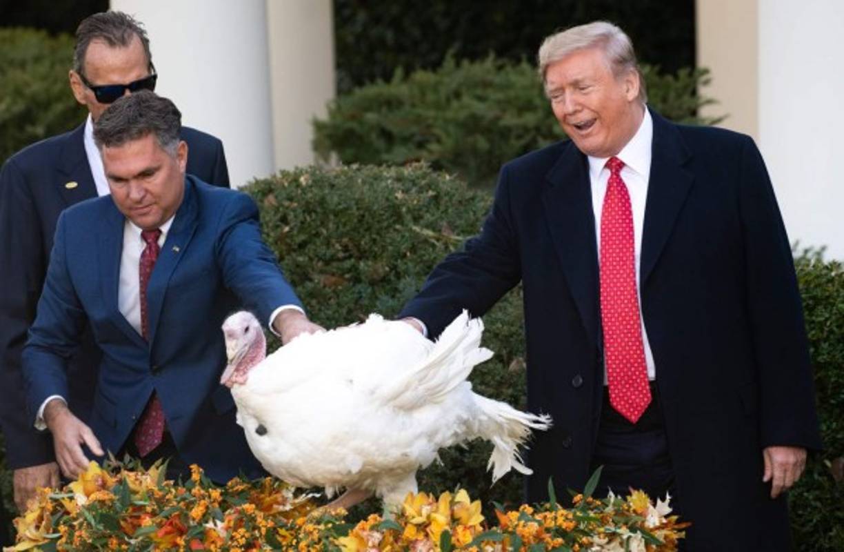 Esta fiesta fue proclamada por el primer jefe de Estado de EEUU, George Washington (1789-1797) con el objetivo de celebrar 'el nacimiento de una nueva nación y su prosperidad'; y se celebra el tercer jueves de noviembre desde que así lo decidiera el presidente Franklin D. Roosvelt (1933-1945), en 1941.