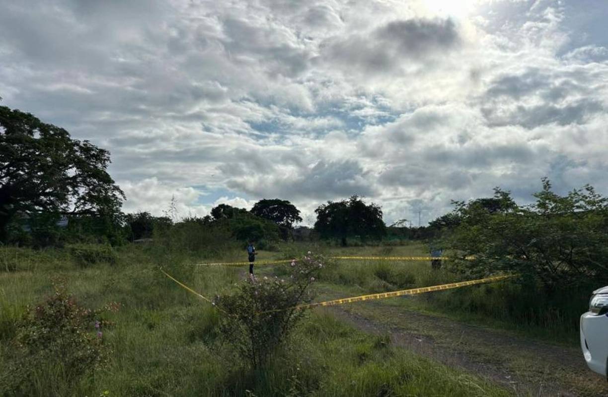 Hasta ahora, las autoridades no han brindado detalles adicionales sobre el caso, y tampoco se ha identificado ni detenido a ningún sospechoso.