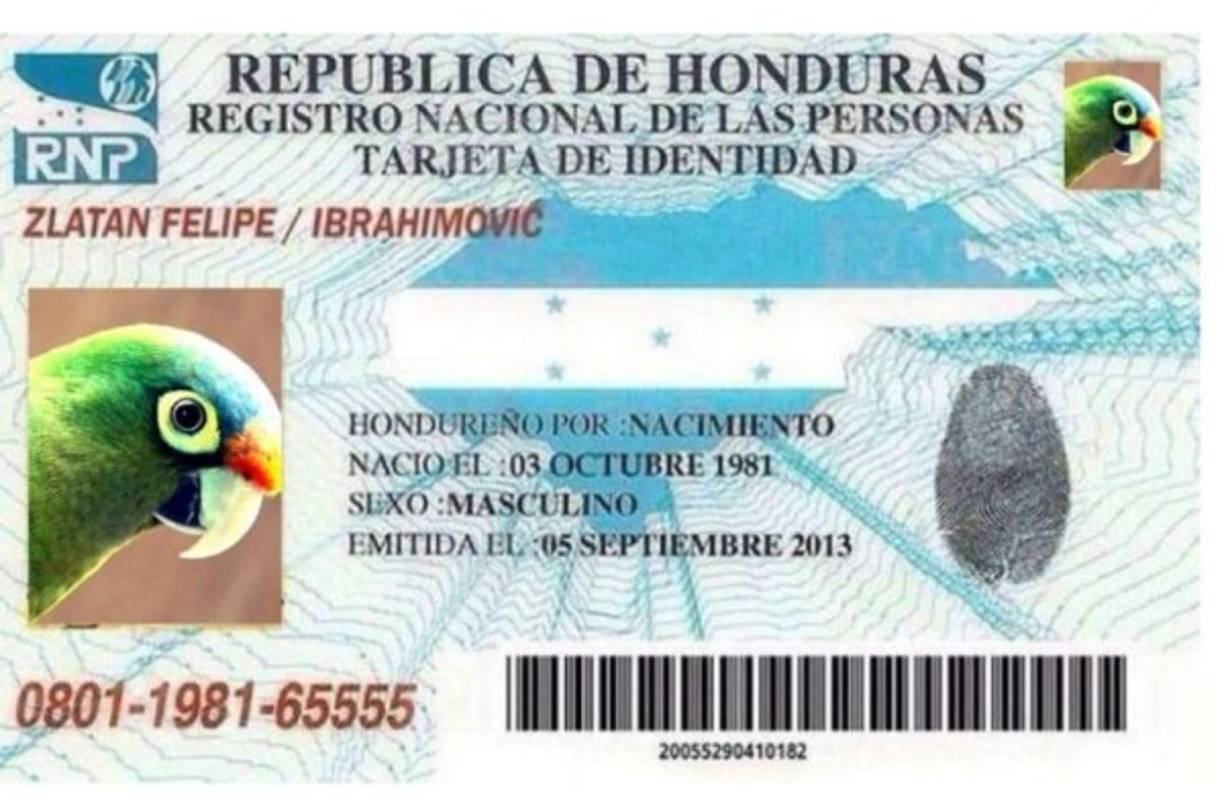 El Instituto de Conservación Forestal (ICF), extendio el tiempo de inscripción hasta el 24 de agosto del 2018.