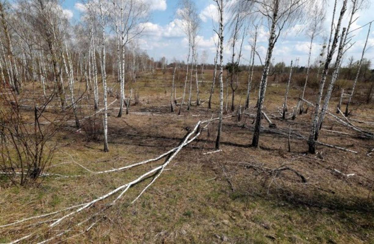 El balance de víctimas de la catástrofe sigue siendo objeto de debate. El comité científico de la ONU (Unscear) solo reconoce oficialmente una treintena de muertos entre los operarios y los bomberos que fallecieron por la radiación después de la explosión. En 2006, la oenegé Greenpeace estimó en unos 100.000 el número de muertos provocados por los efectos radiactivos de la catástrofe nuclear.