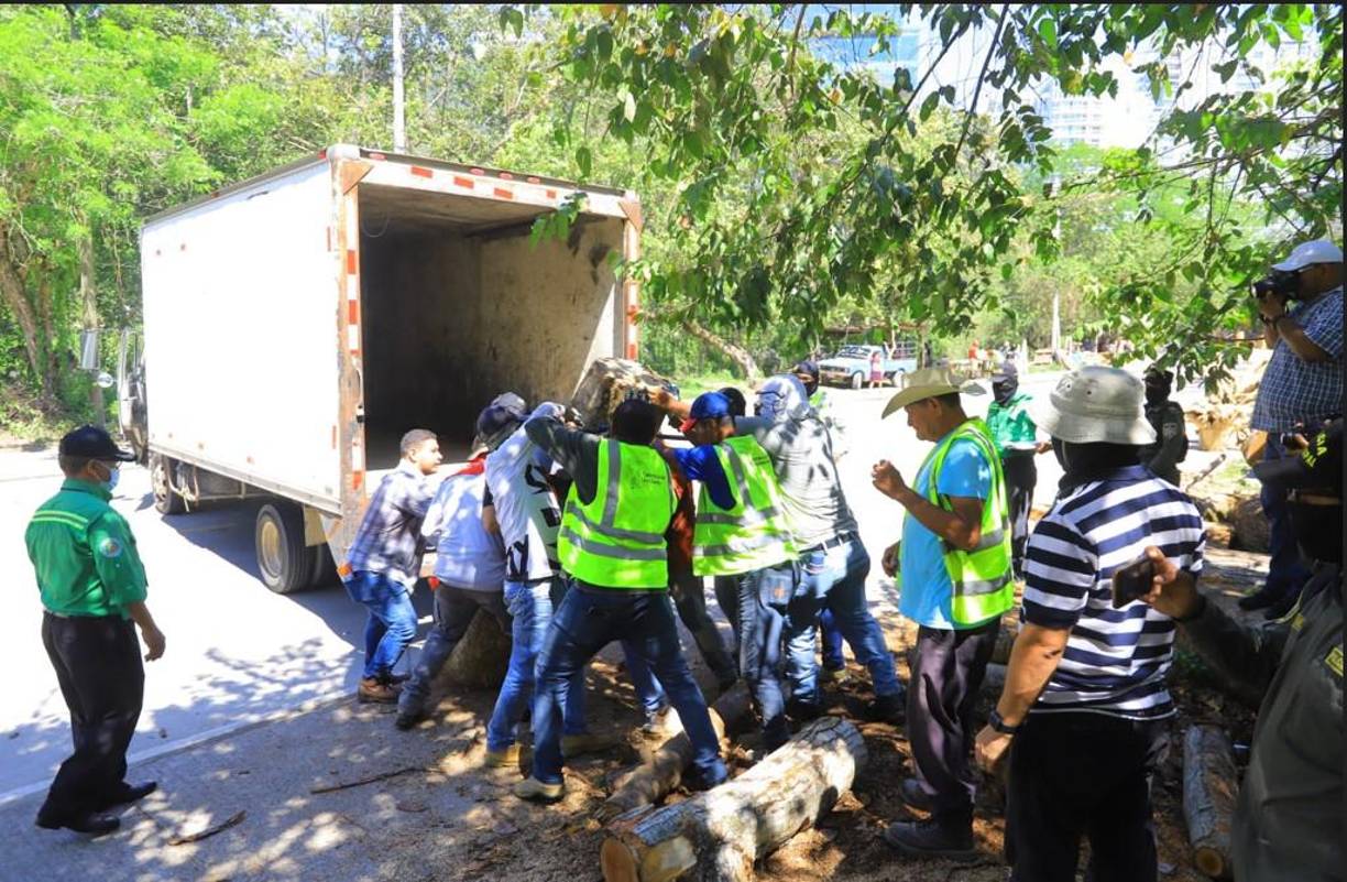La venta de la madera y estos productos se realiza desde hace varios años en la calle que va para Rancho el Coco, antes de llegar al puente del río Santa Ana, a las inmediaciones de los condominios de Panorama.