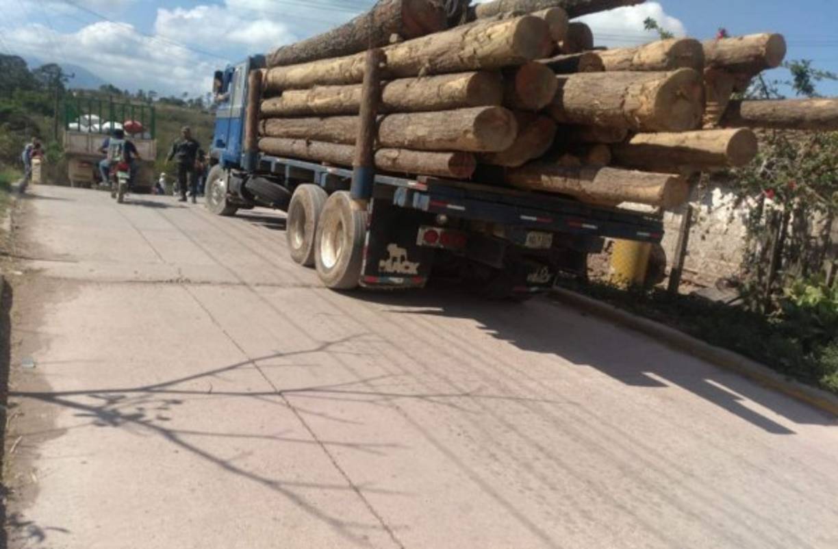 Las diferentes Fiscalías del Ministerio Público acompañan las acciones en la Operación Hormiga II.