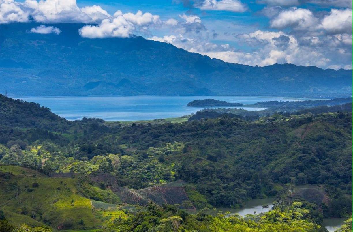 Posee un exquisito bosque nublado y es poco frecuente verlo sin sus coronas de blanca neblina.