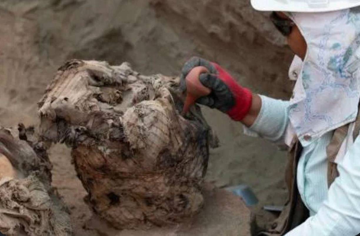 El experto señaló que esta parte del cementerio podría ser dedicada a infantes, puesto que había dos bebés y cuatro niños, algo que demuestran a simple vista las saturaciones sin terminar en los cráneos y rótulas.