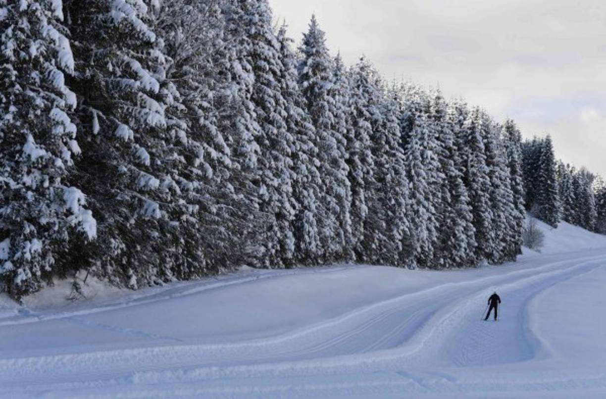 Alemania vivió también su noche más fría del invierno, con -26°C registrados en dos ciudades bávaras (sur) y -25°C en Oberstdorf (sudeste), mientras el termómetro cayó a -15°C en Berlín.