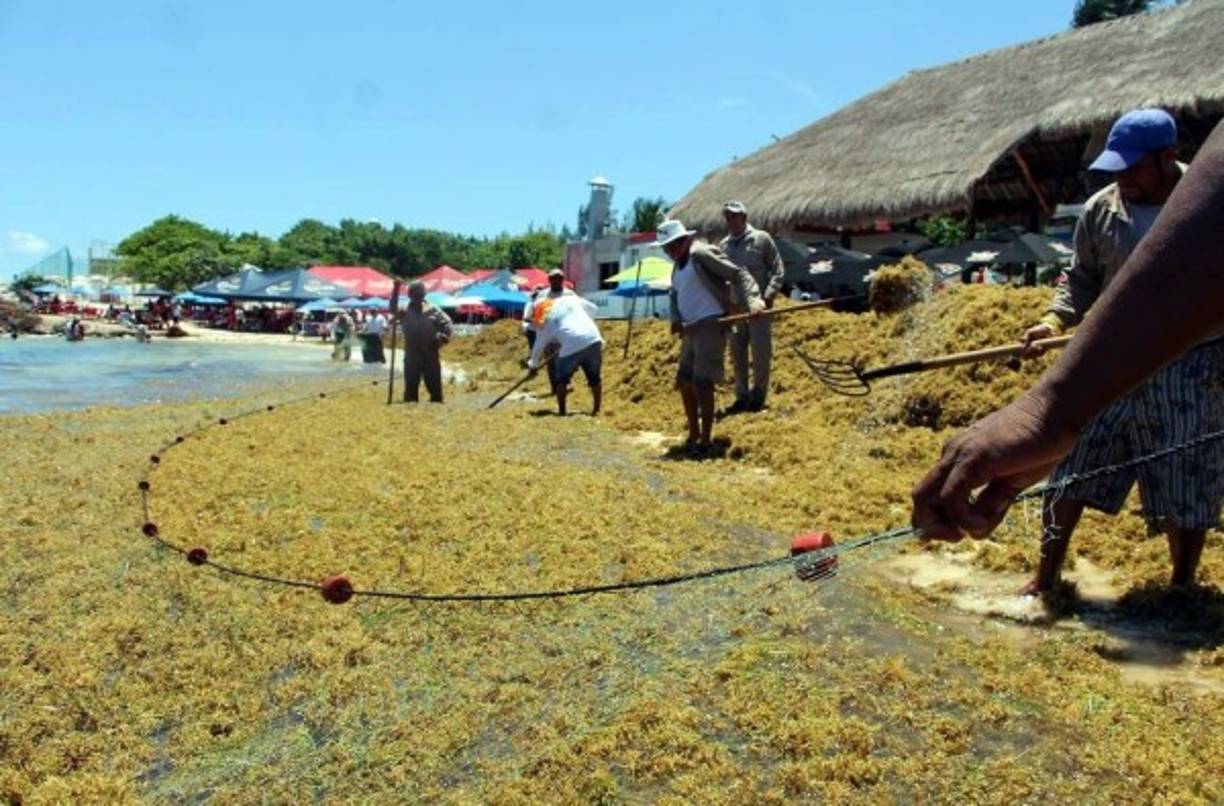 El Gobierno mexicano dijo que el tema del sargazo se está abordando como un 'problema de Estado' y sin contratar empresas privadas.