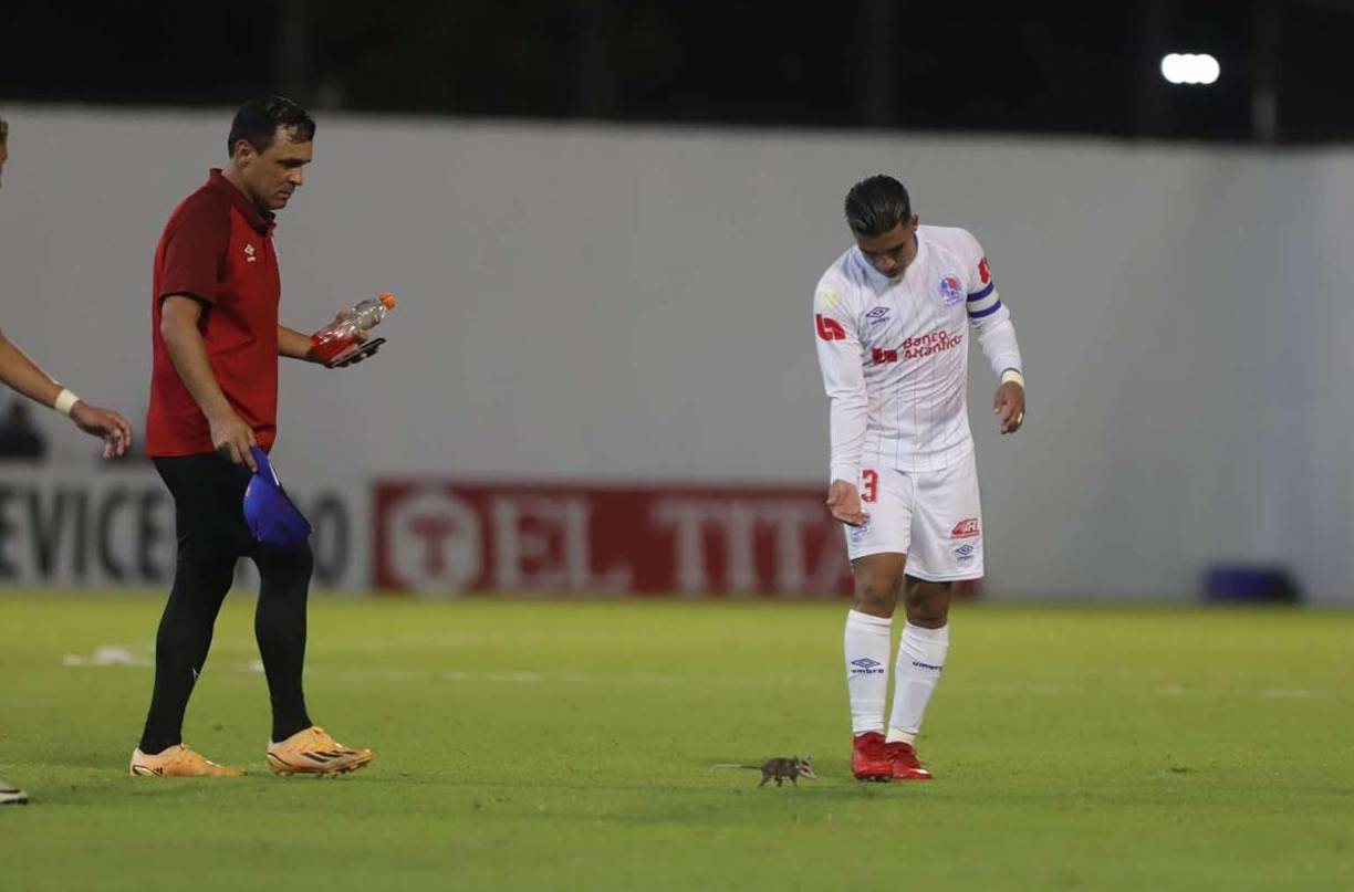 Michaell Chirinos intentó atrapar al tacuazin, pero sin éxito.
