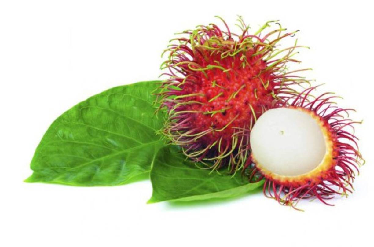 Hay otras formas muy provechosas en la que puedes consumir el rambután. Una de ellas es agregarla a ensaladas de vegetales o frutas diferentes. Puedes preparar con la licha jaleas o mermeladas e incluso su fruto se puede combinar con yogures y postres.