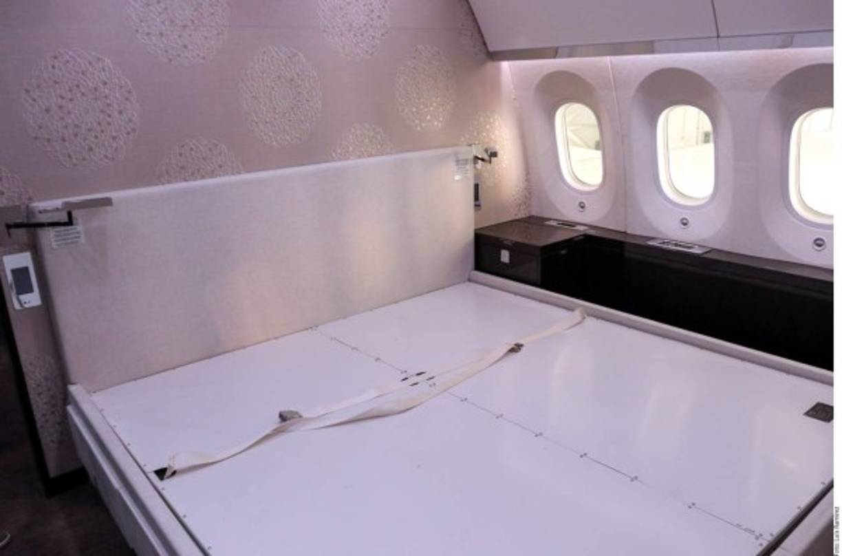 Desde el momento de la compra del avión presidencial mexicano se generaron fuertes críticas por su alto costo y lujosos detalles.