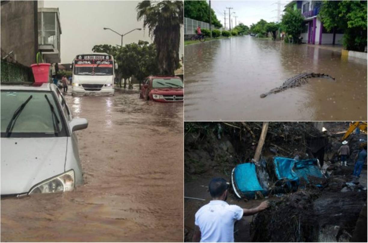 Al menos cinco personas murieron y nueve se encuentran desaparecidas después de que una fuerte lluvia azotó un poblado del estado mexicano de Michoacán (oeste) provocando el desbordamiento de un río y una represa, que llevó a varios cocodrilos a las calles de Cárdenas, informó este lunes Protección Civil.