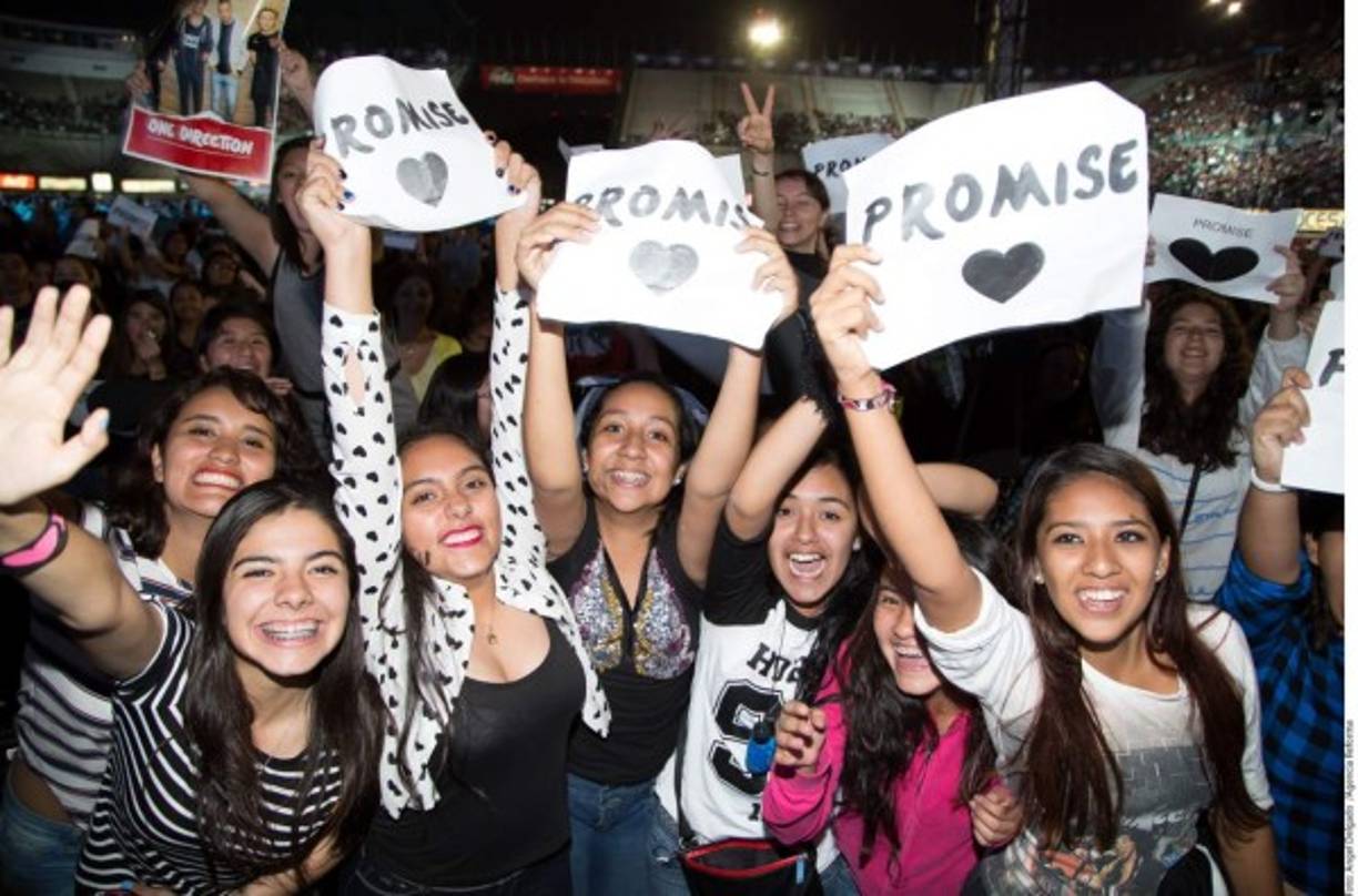 Las Fans de One Direction no ocultaron su euforia y alegría al ver al grupo británico cantar en el escenario de los Premios Telehit 2015.<br/><br/>
