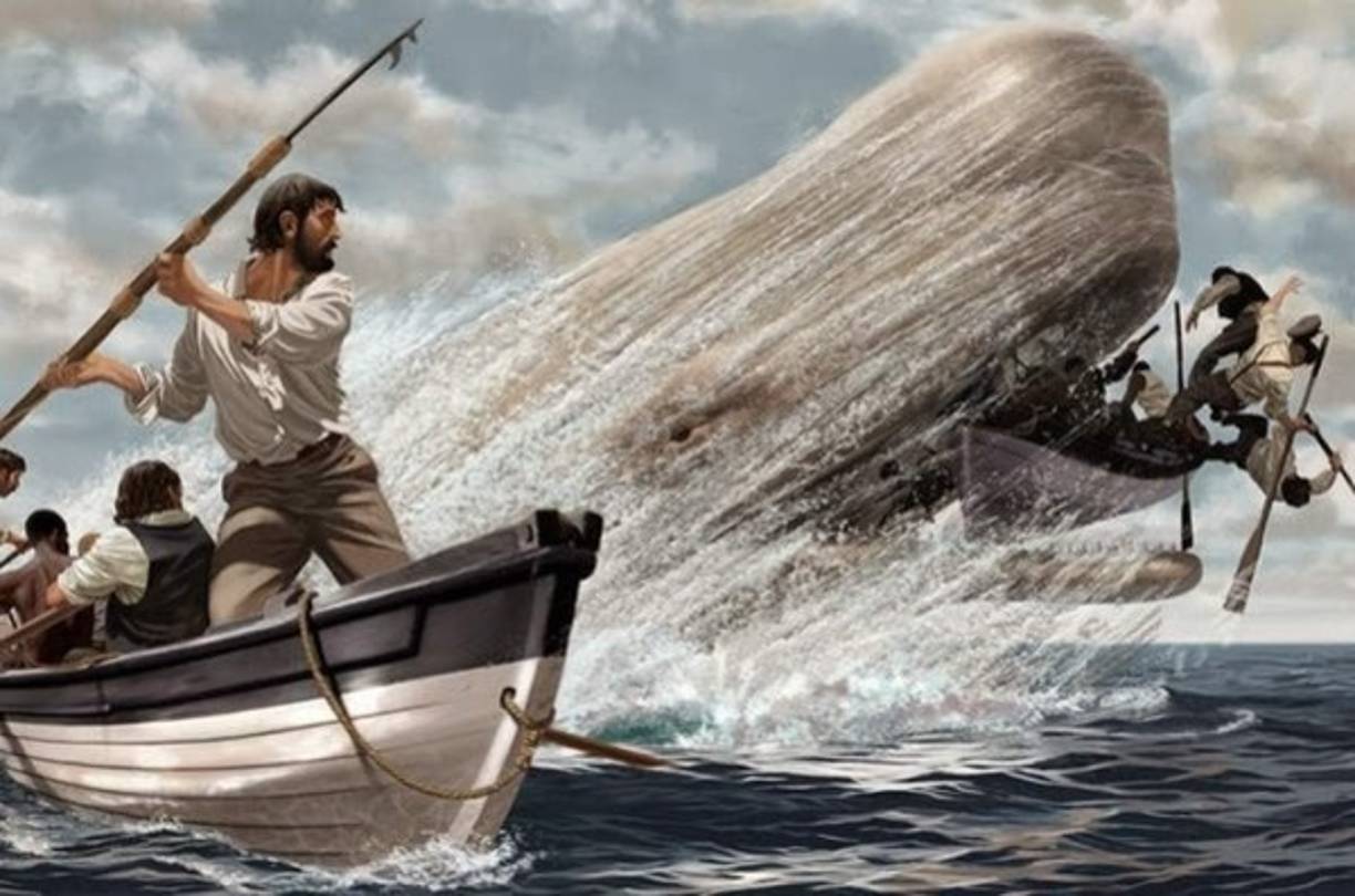 MOBY DICK<br/>El escritor Herman Melville utilizó un hecho real para crear este clásico de la literatura, en el cual, un ballenero llamado Essex tuvo un fatídico encuentro con una ballena albina en 1820. Este animal, un cachalote llamado Mocha Dick recibió su nombre de la isla de Mocha, ubicada en el océano Pacífico.<br/>La historia a su vez inspiró la película 'En el corazón del mar', protagonizada por Chris Hemsworth.
