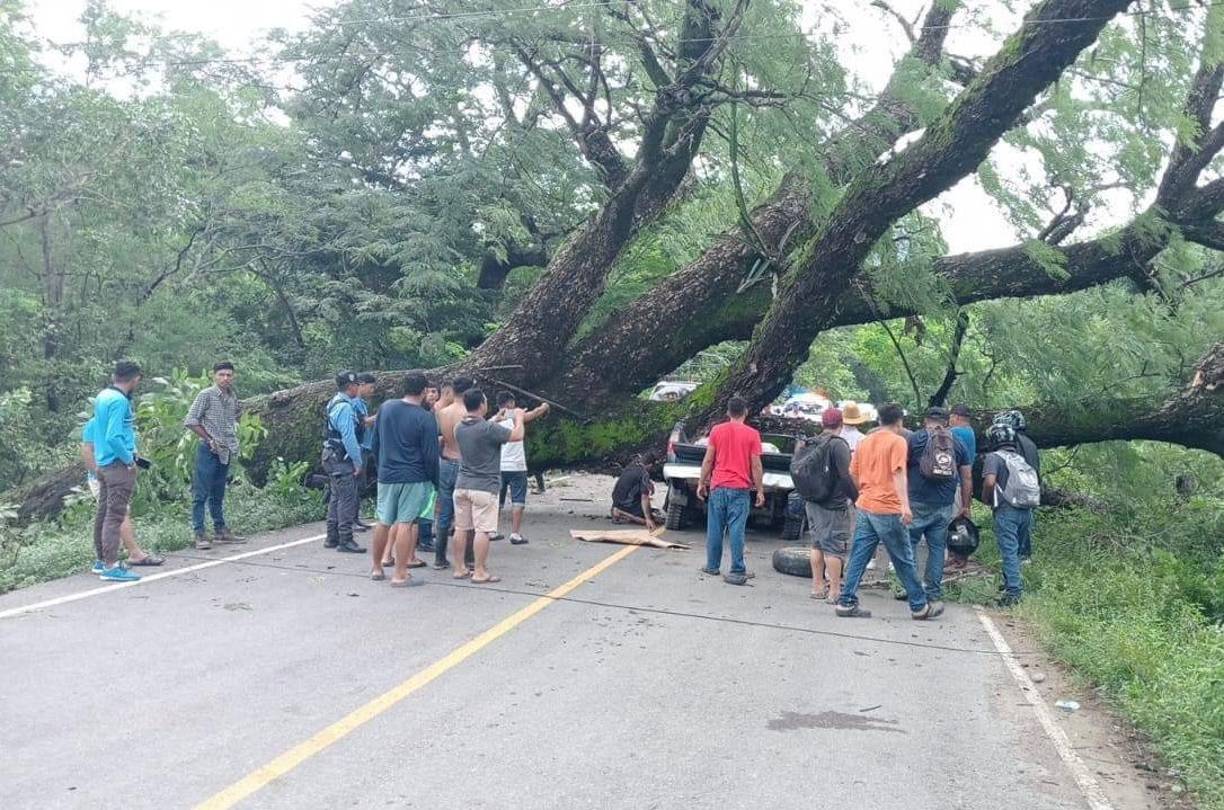 En el automotor, que quedó aplastado, iban a bordo cuatro personas. 