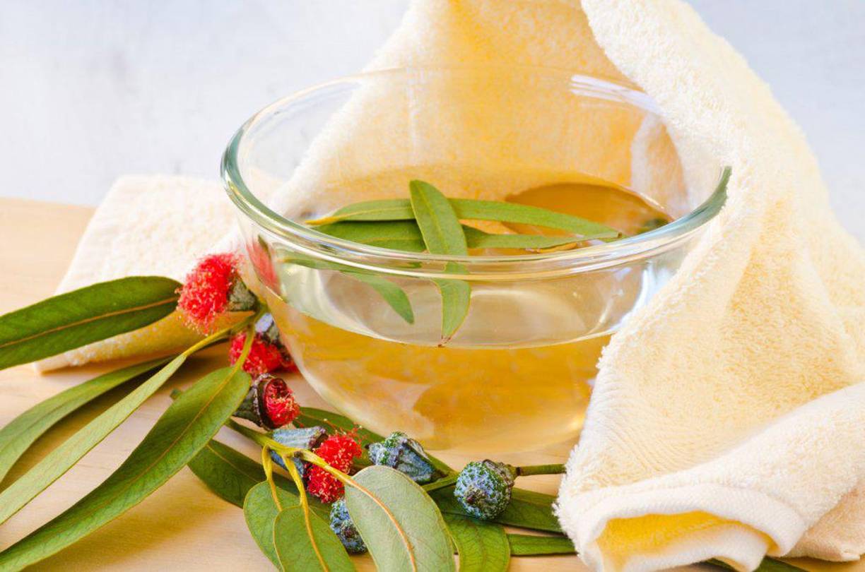 Té de menta y eucalipto. Esta infusión es ideal para aliviar la congestión nasal y los síntomas del resfriado. La menta tiene efectos refrescantes y digestivos, mientras que el eucalipto es conocido por sus propiedades descongestionantes y antisépticas.