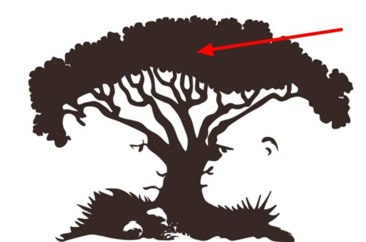 Un árbol<br/><br/>Si lo primero que tu mente observó es un árbol, eso significa que eres una persona lógica y muy razonable. Siempre que tienes que tomar una decisión lo analizas bien e intentar estar muy informado para asegurarte que estas tomando la decisión correcta.<br/><br/>No te dejas llevar por los sentimientos o por la intuición ya que no te parece suficiente como para tomar decisiones importantes en tu vida.<br/><br/>Tienes las características justas para ser un gran líder, pero como eres el encargado de dirigir no te muestras muy sociable y te cuesta demostrar afecto. Suelen verte por estas razones como una persona fría. Puedes ser un poco más afectuoso y abierto a tus seres queridos.<br/>