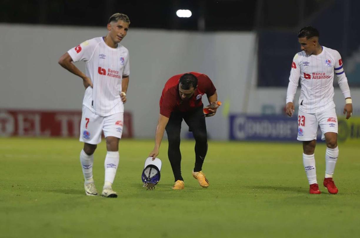 Sergio López, preparador de porteros del Olimpia, trató de atrapar al animal con su gorra. Lo hizo un par de veces, pero el tacuazin saltó al campo.