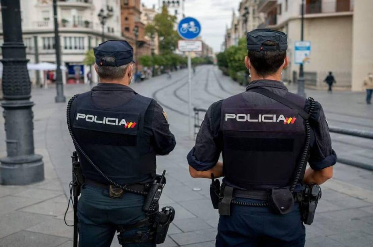 La policía española dijo en enero que había detenido a 22 miembros de Futuro Vegetal, incluyendo a los dos que participaron en la protesta del Prado y los tres principales dirigentes del grupo.