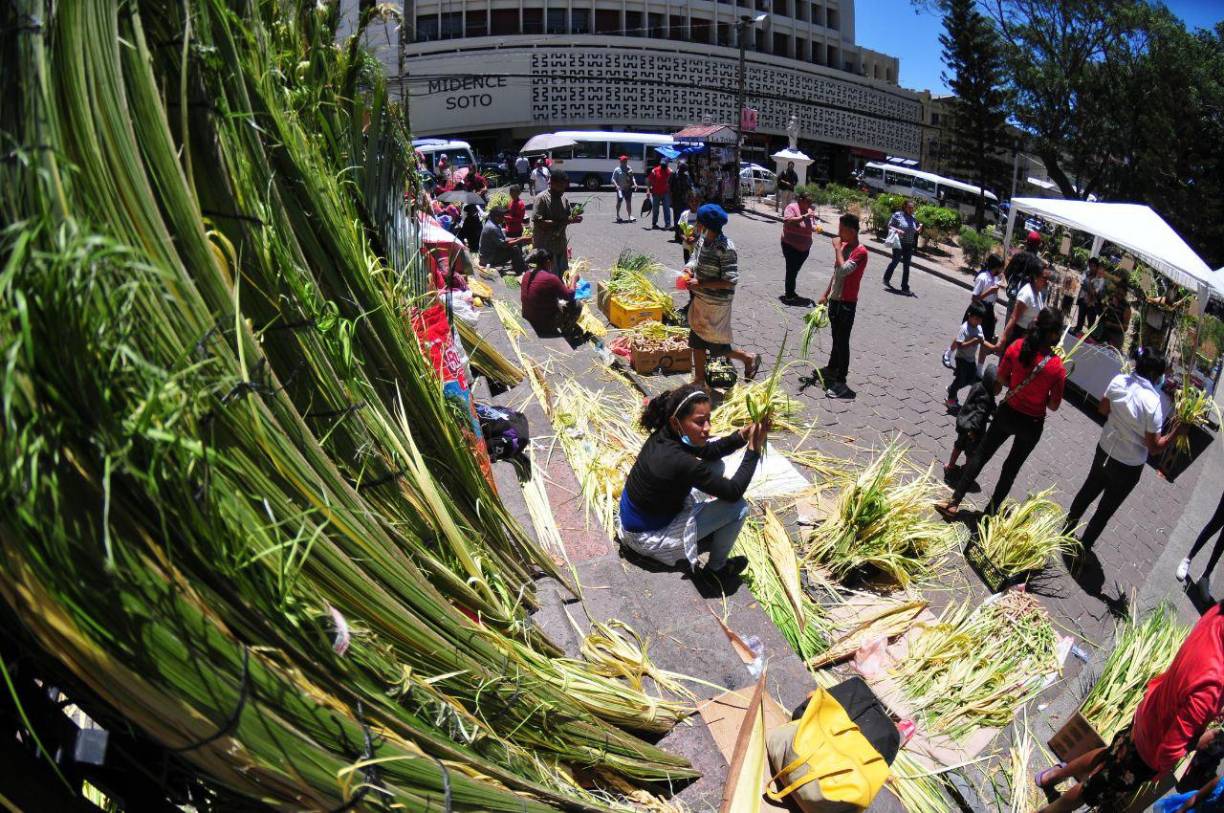 Hondureños compran palmas para el Domingo de Ramos