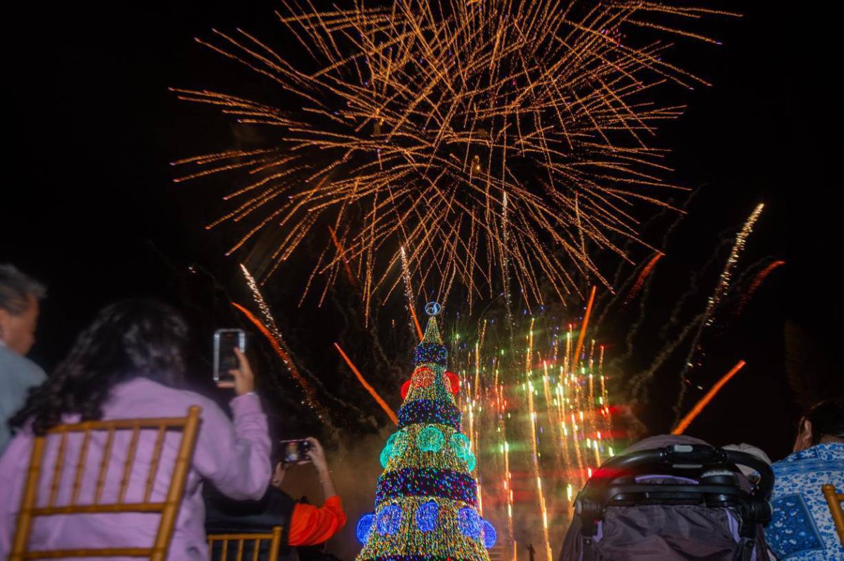 El árbol permanecerá encendido desde las 5:00 p.m. hasta la medianoche y será retirado el próximo 6 de enero.