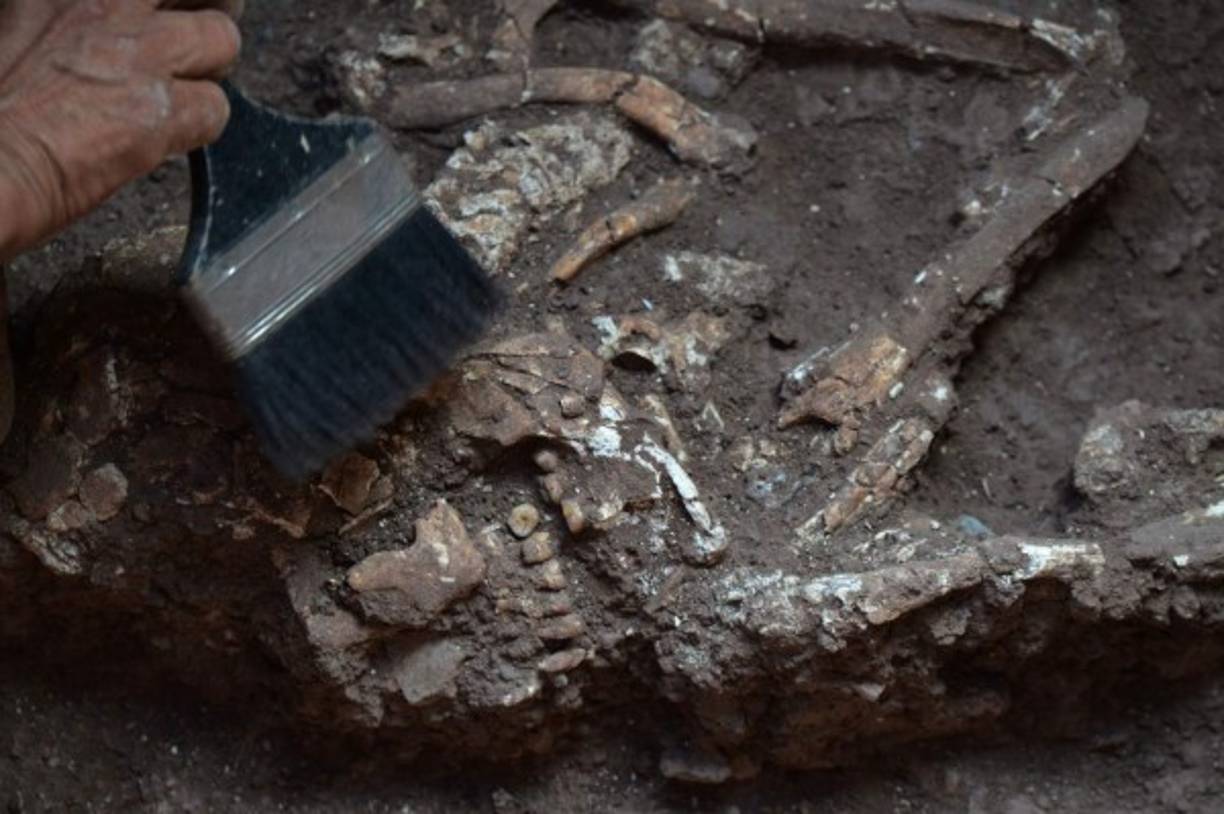 Un hombre trabaja en el sitio arqueológico donde se encontraron seis esqueletos humanos en el Parque Arqueológico de Copán. AFP