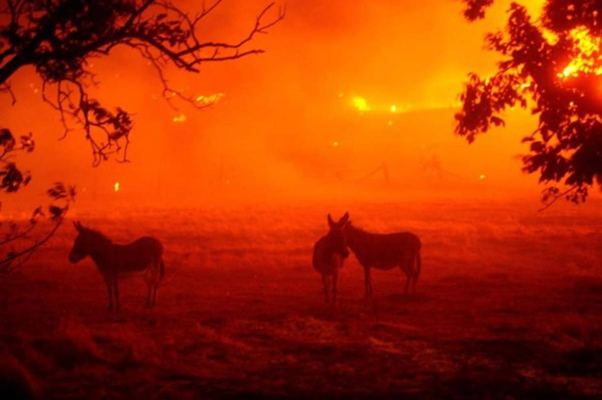 El domingo, la temperatura en el Valle de la Muerte alcanzó los 130 grados Fahrenheit (54 C), posiblemente la lectura más alta en la Tierra en casi 90 años, de confirmarse la medición.