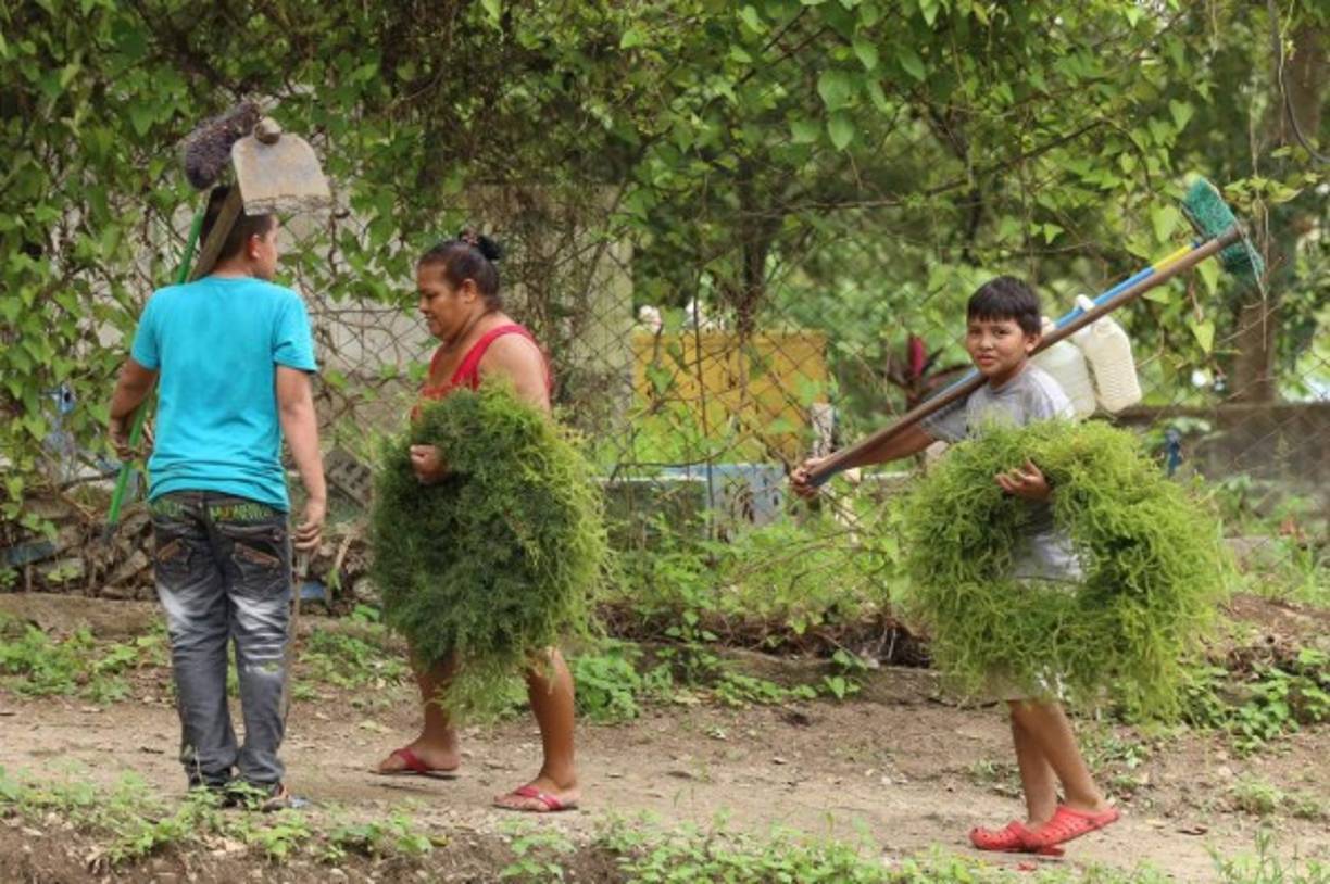 Muchas personas dedicaron el día para limpiar el lugar en donde descansan los restos de sus familiares muertos.