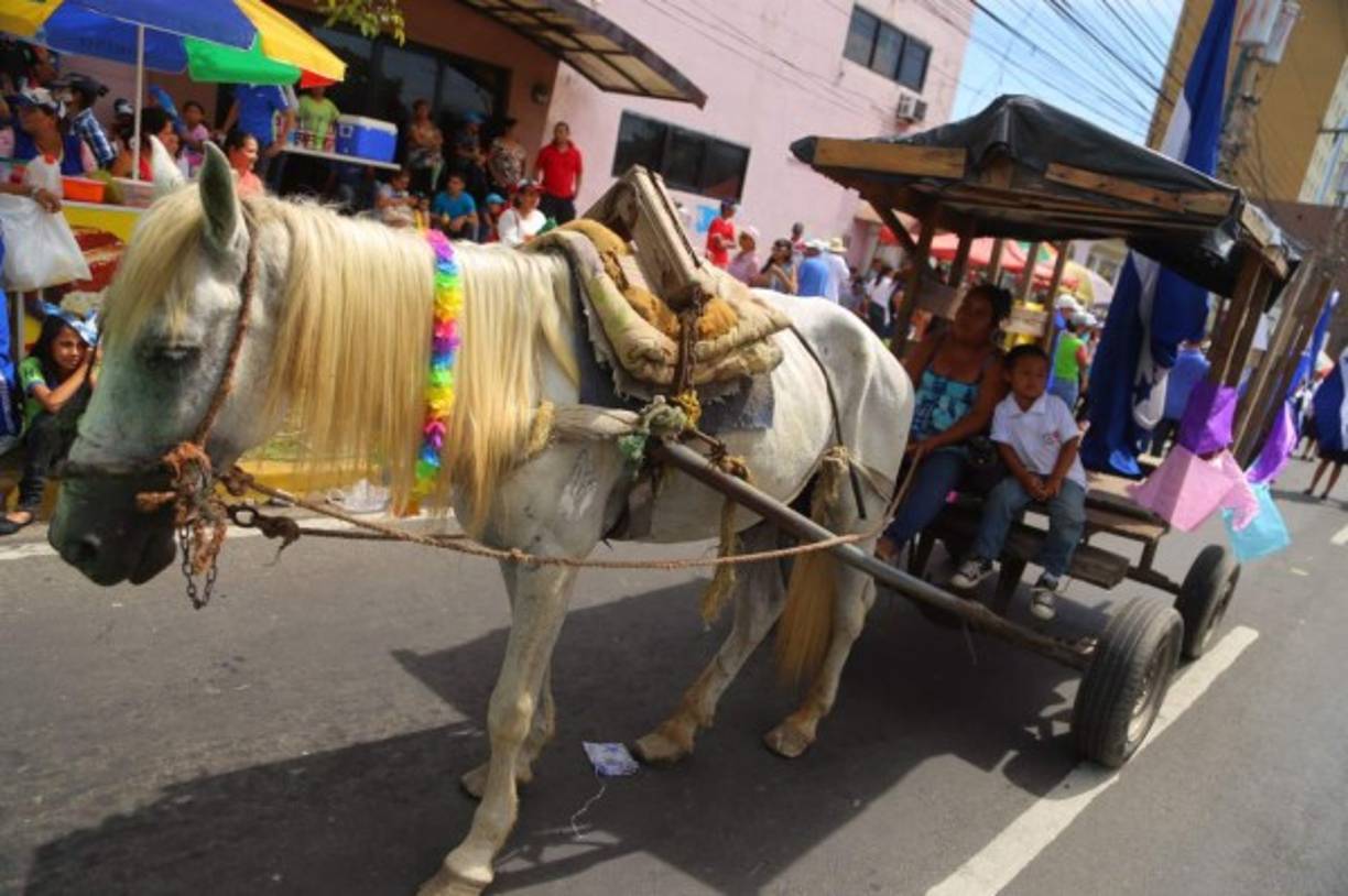 Hasta las carreteras con caballos marcharon por las calles de San Pedro Sula, ¿qué andabas haciendo? no se sabe