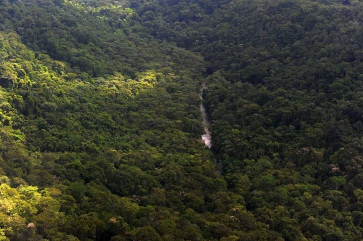 La Biosfera del Río Plátano está en riesgo de ser retirada de la lista si el gobierno hondureño no toma acciones para detener el daño ambiental.