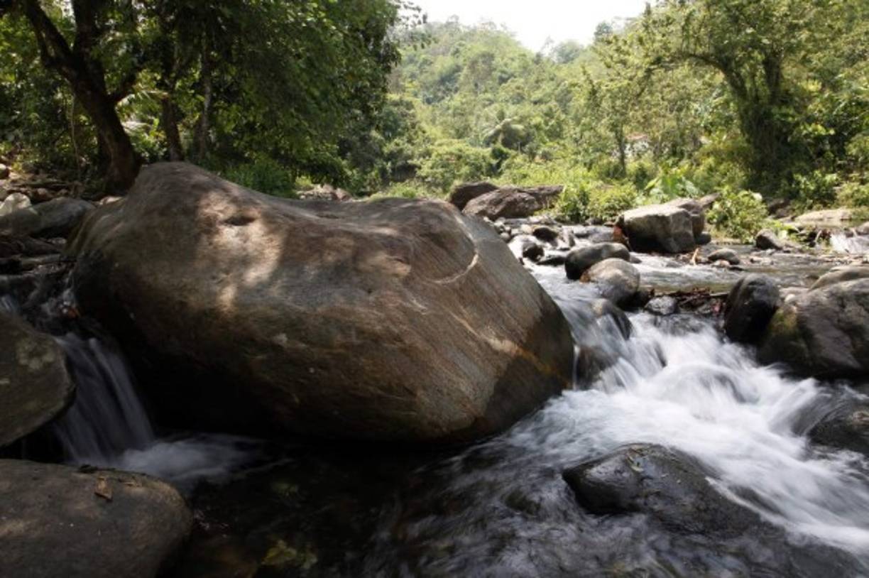 Los ríos abastecen algunas represas de San Pedro Sula.