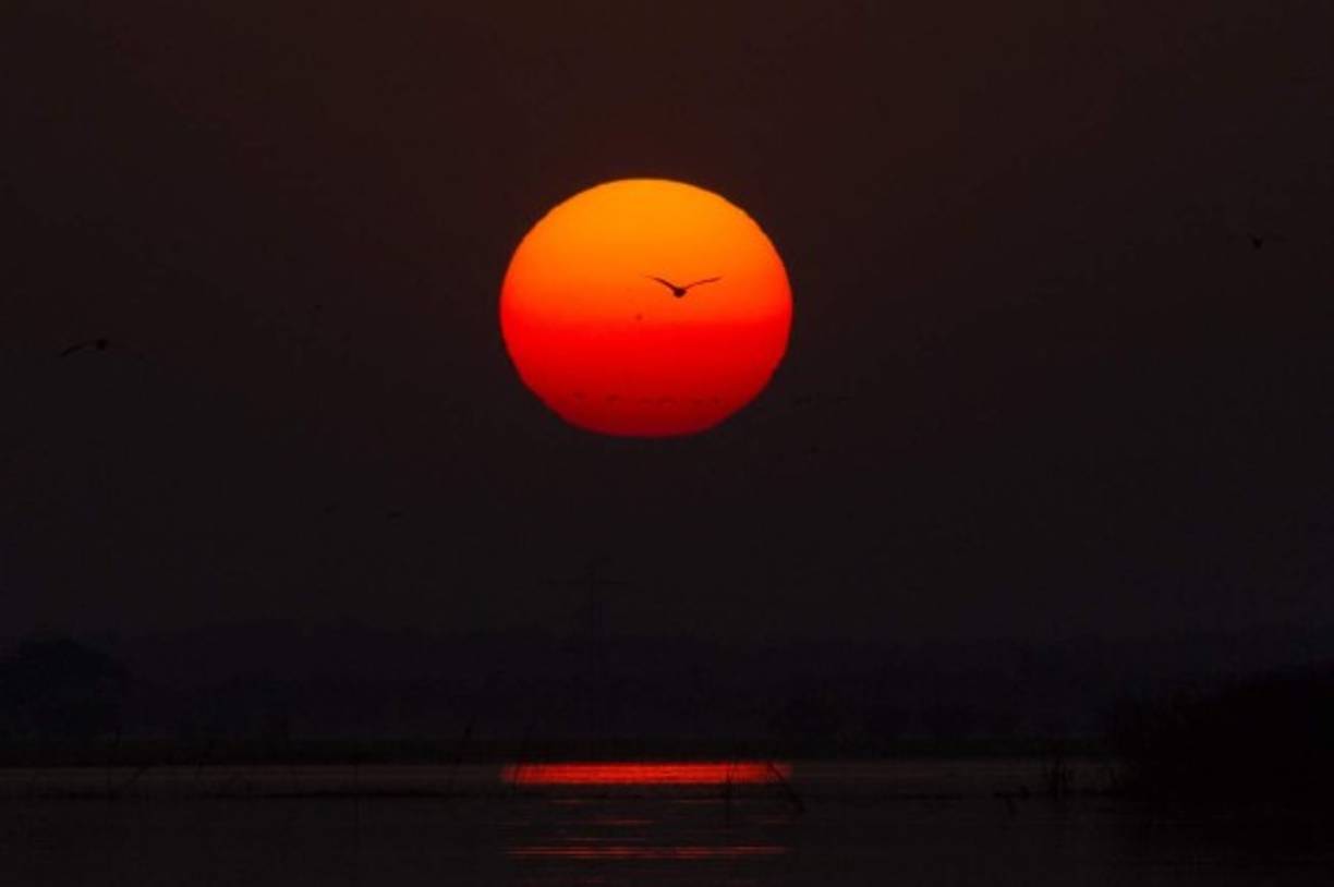 Un ibis vuela por los cielos de Myanmar, en el sudeste asiático, en medio de una espectacular puesta de sol.