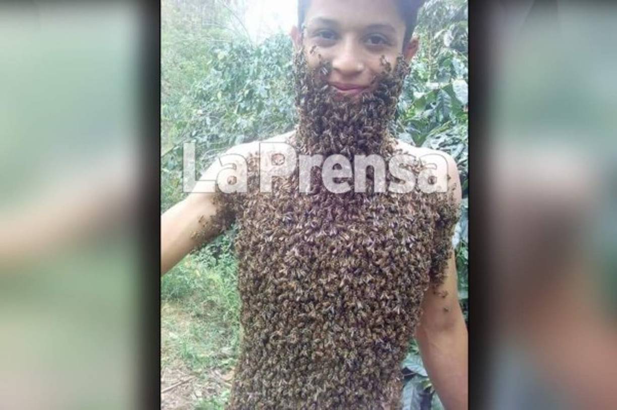 Emerson Rodríguez es un joven que se ha hecho viral en las redes luego de dar a conocer su pasión por las abejas y la apicultura a través de Diario LA PRENSA.