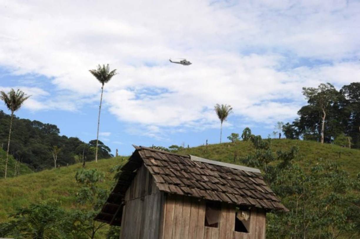 Autoridades se trasladaron a la zona para efectuar los desalojos de los pobladores que habitan en la zona protegida.