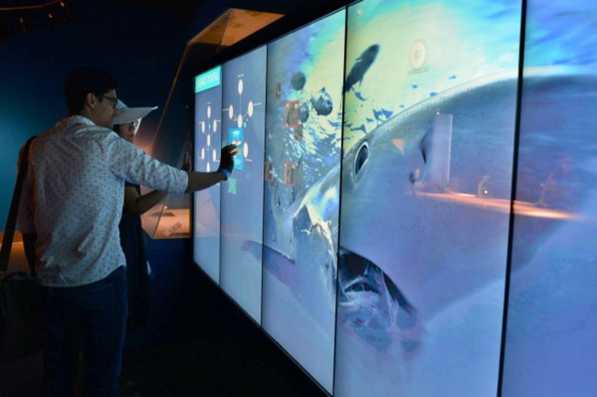 Solo unos pocos planetarios en el mundo cuentan con la tecnología que exhibe el del museo Frost, con su gran cúpula y un proyector de resolución 8K (sistema visual). EFE