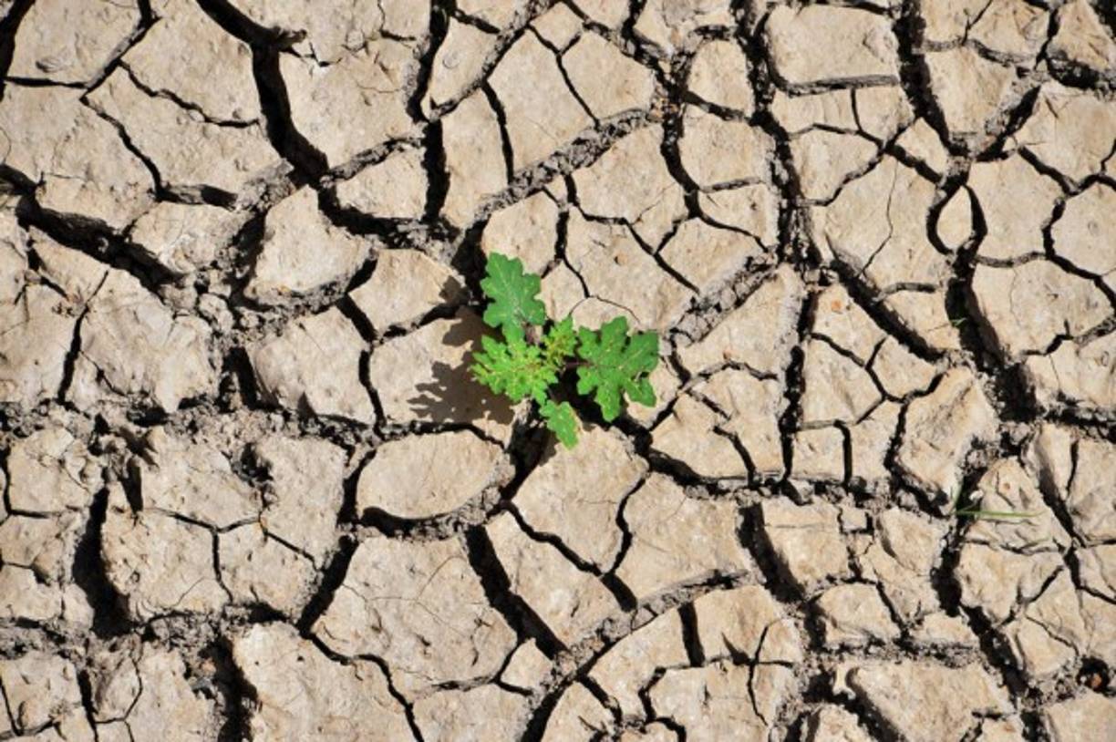 Los racionamientos de agua en Tegucigalpa y Comayagüela se han dado desde hace varios años; es algo con lo que los capitalinos se han tenido que acostumbrar.