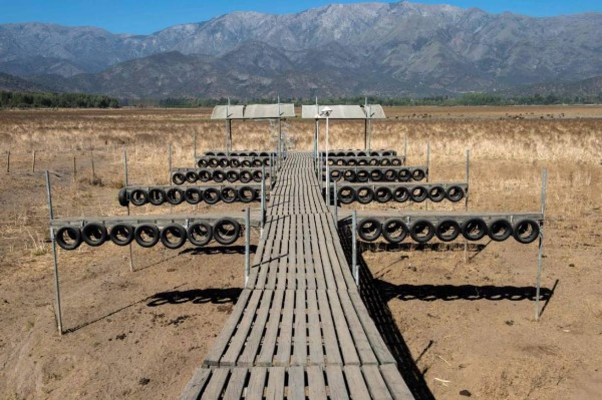 Si en la década de 1980 llovía un promedio de 350 mm anuales en la zona central de Chile, en 2018 las precipitaciones se redujeron a la mitad, y se cree que en los próximos años la cantidad de lluvia seguirá bajando producto de los efectos del cambio climático.