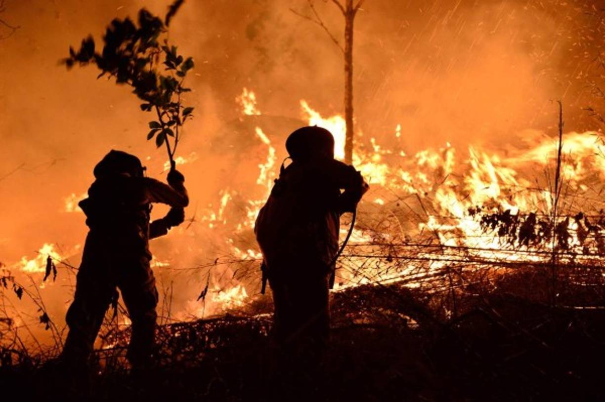 Según Copeco, este año se han perdido 8.111 hectáreas de bosque en 222 incendios forestales, 3.858 de ellas en el remoto departamento de Gracias a Dios, este del país, habitado por indígenas misquitos, en tanto 68 incendios dañaron 519 hectáreas en las zonas que rodean a la capital.