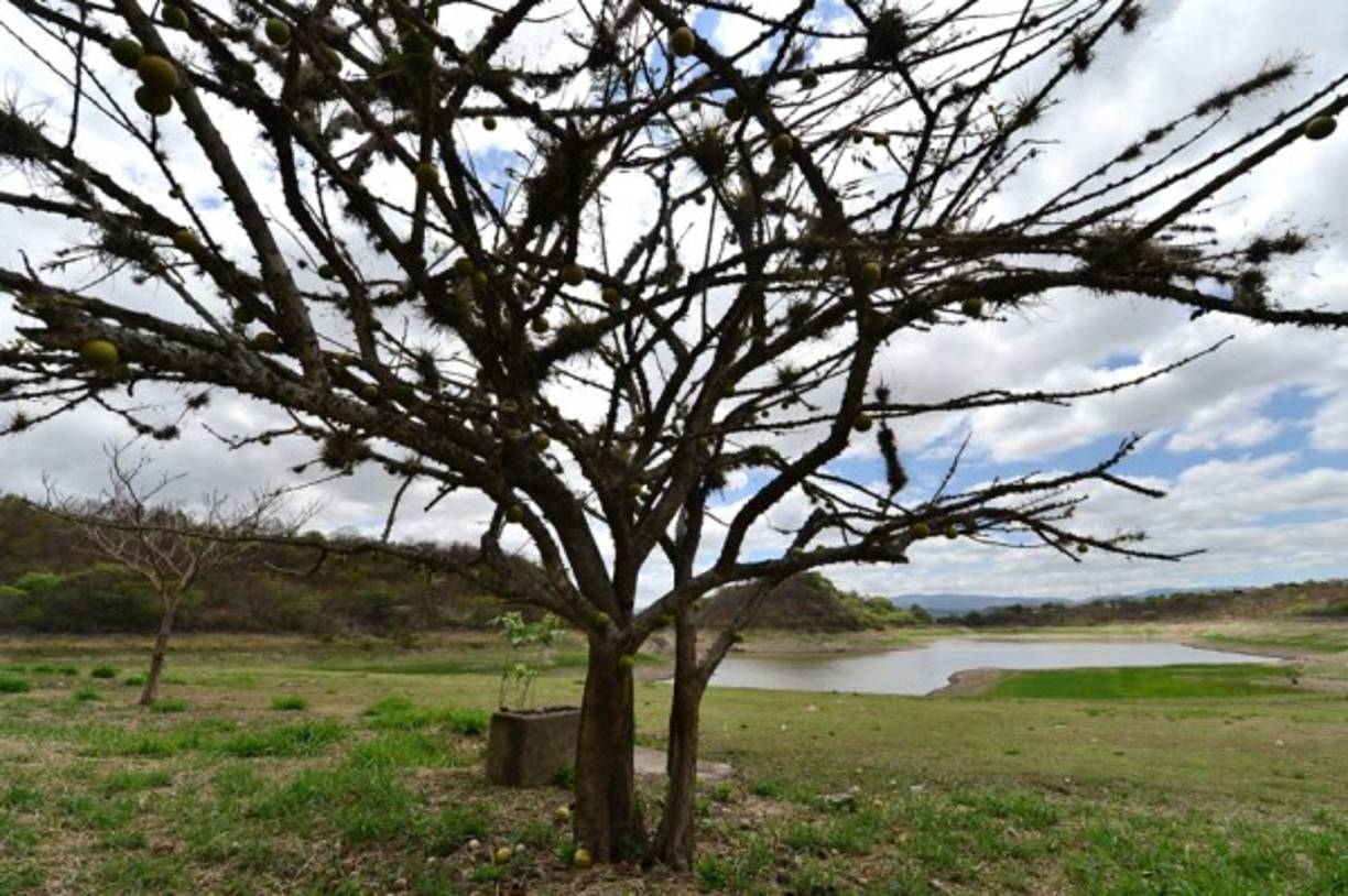 El embalse está ubicado al sur oeste de Tegucigalpa, en la cuenca del río Guacerique.