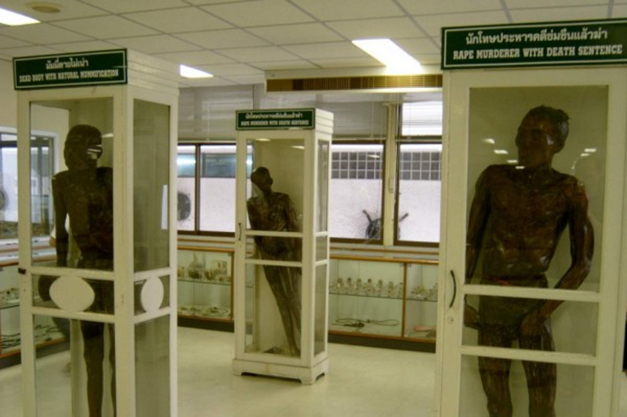 Museo Forense de Bangok, se situa en Tailandia. En él se exhiben diferentes salas dedicadas a la anatomía humana, malformaciones genéticas,cuerpos embalsamados de violadores y asesinos;todo esto fue creado para el conocimiento de estudiantes de medicina.Foto:viajeyviaje.com