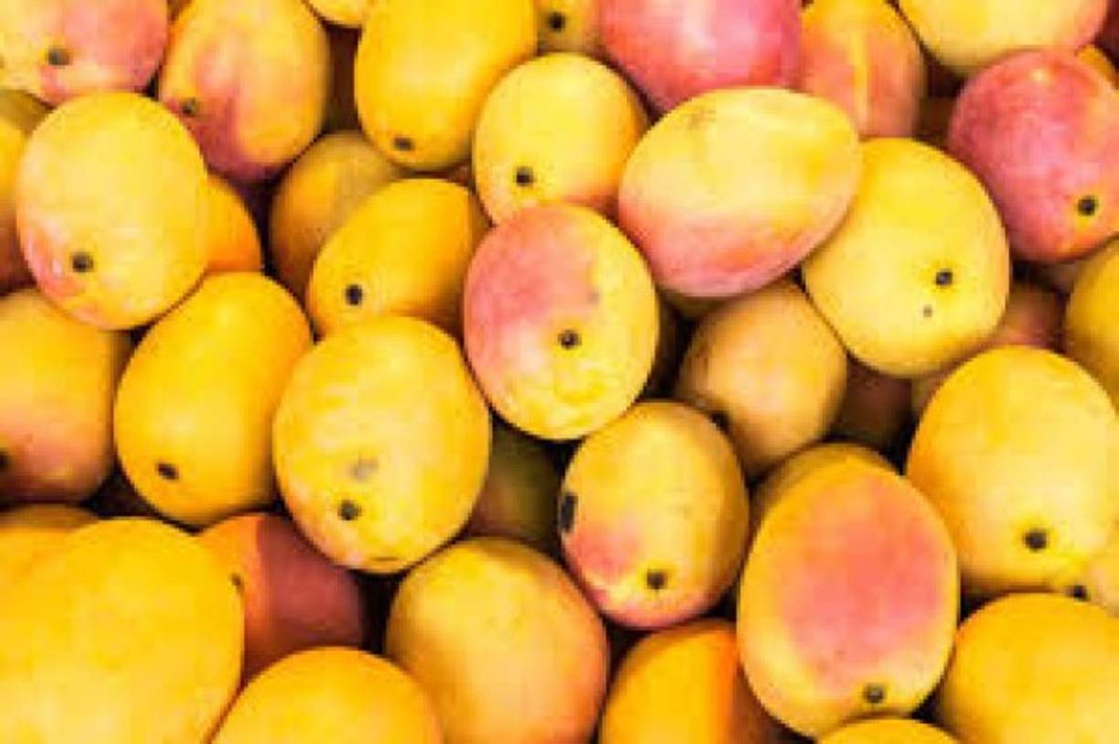 Cáncer: Las dietas ricas en beta-caroteno también puede desempeñar un papel protector contra el cáncer de próstata, según un estudio realizado por la Escuela de Salud Pública de la Universidad de Harvard (EEUU) y se ha demostrado que tiene una relación inversa con el desarrollo de cáncer de colon.