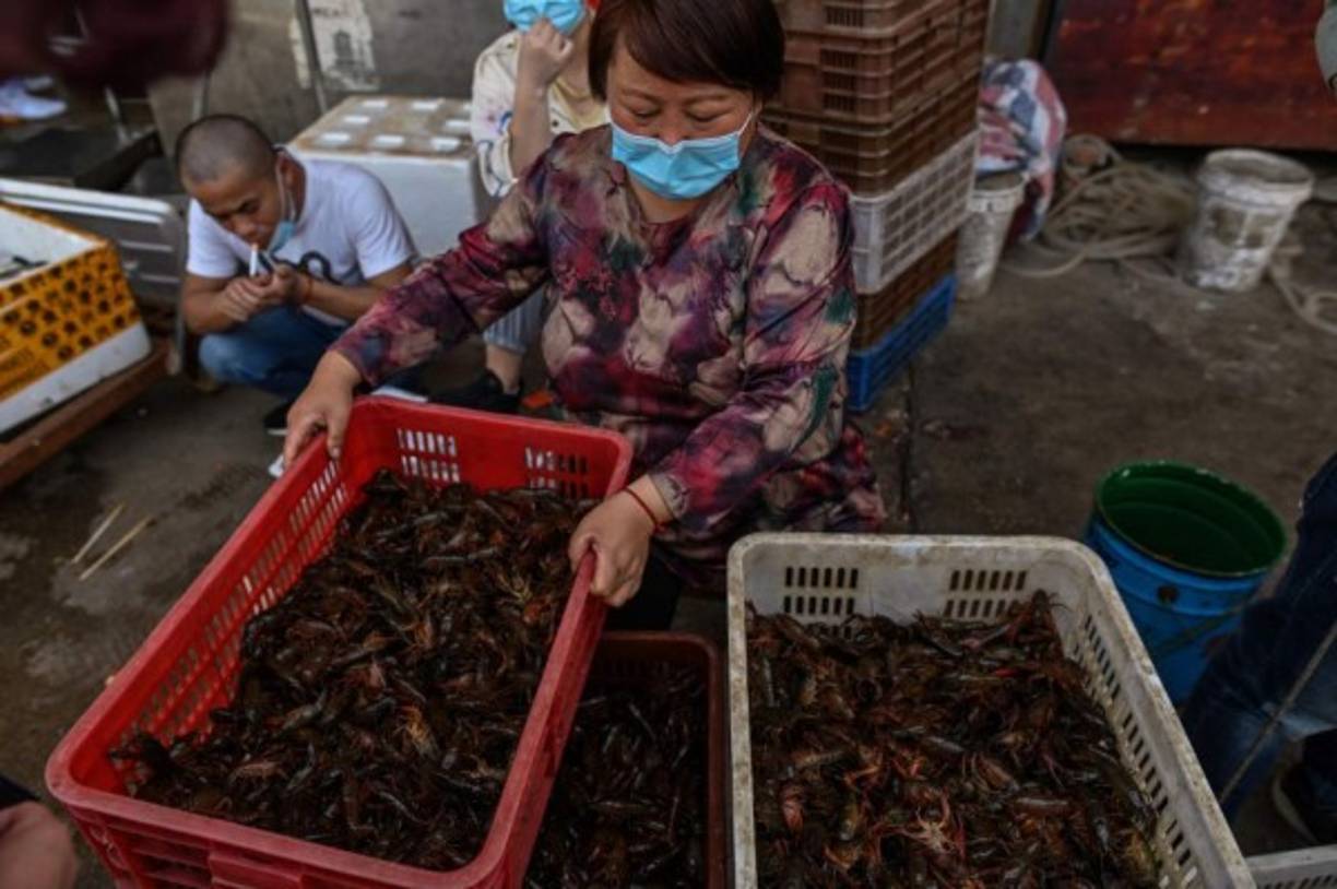 En opinión de los expertos, el nuevo coronavirus hizo su aparición a fines de 2019 en un mercado de la ciudad, donde se vendían animales exóticos vivos. El virus animal podría haber mutado allí al propagarse a los humanos.