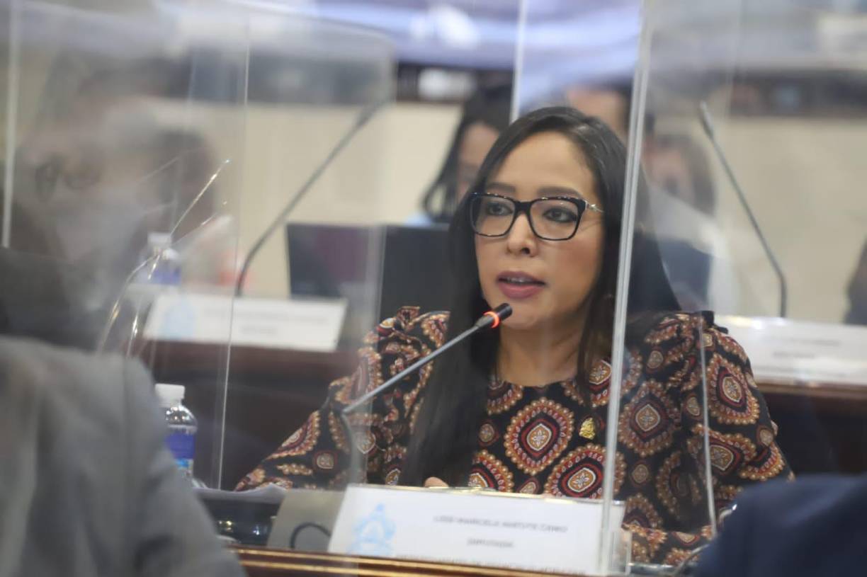 10. Diputada Lissi Matute Cano (Partido Nacional): “Llegué al Congreso queriendo hacer las cosas bien por mi país. He empeñado hasta hoy mi mayor esfuerzo para apoyar las causas que la gente quiere y necesita. Pedimos una CSJ independiente y despolitizada, pero no alcanzamos los votos. Hoy no perdió un partido, hoy perdió Honduras”. 