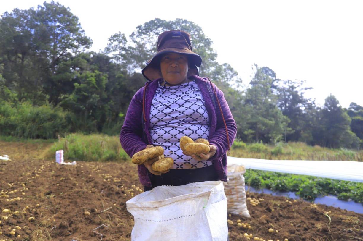 También las damas, que desde temprano iniciaban sus labores, usaban abrigos y su característico pañuelo de tejido lenca para cubrir su cabeza. 